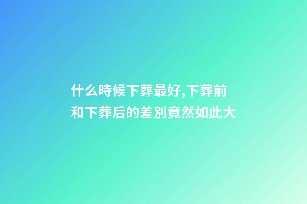什么時候下葬最好,下葬前和下葬后的差別竟然如此大-第1張-觀點-玄機派