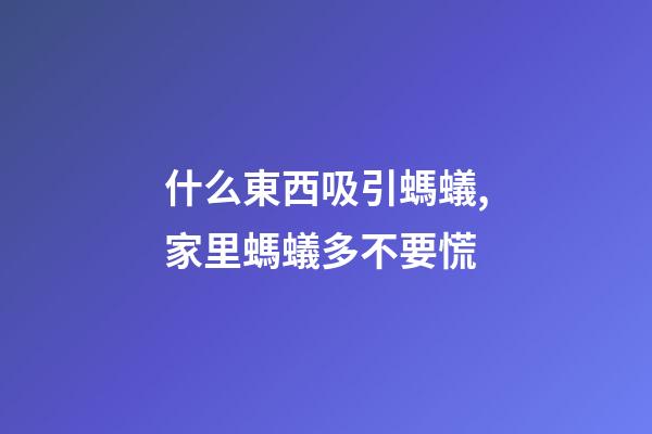 什么東西吸引螞蟻,家里螞蟻多不要慌-第1張-觀點-玄機派