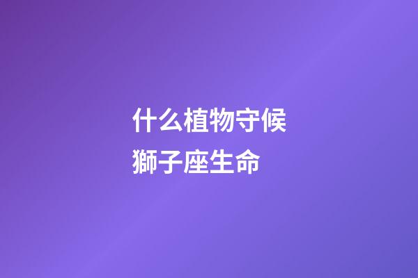 什么植物守候獅子座生命-第1張-星座運(yùn)勢(shì)-玄機(jī)派