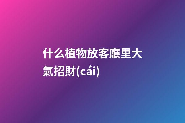 什么植物放客廳里大氣招財(cái)