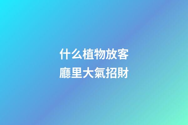 什么植物放客廳里大氣招財