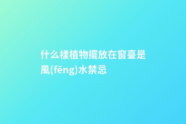 什么樣植物擺放在窗臺是風(fēng)水禁忌