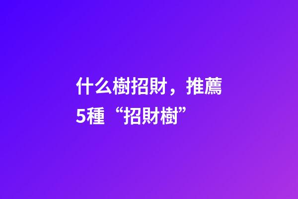 什么樹招財，推薦5種“招財樹”-第1張-觀點-玄機派