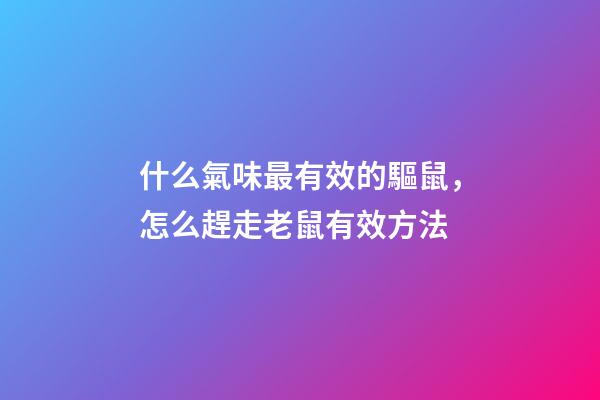 什么氣味最有效的驅鼠，怎么趕走老鼠有效方法-第1張-觀點-玄機派