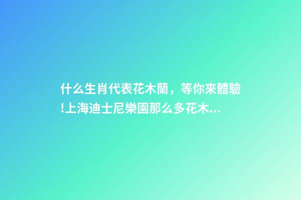什么生肖代表花木蘭，等你來體驗!上海迪士尼樂園那么多花木蘭主題你找到了么-第1張-觀點-玄機派
