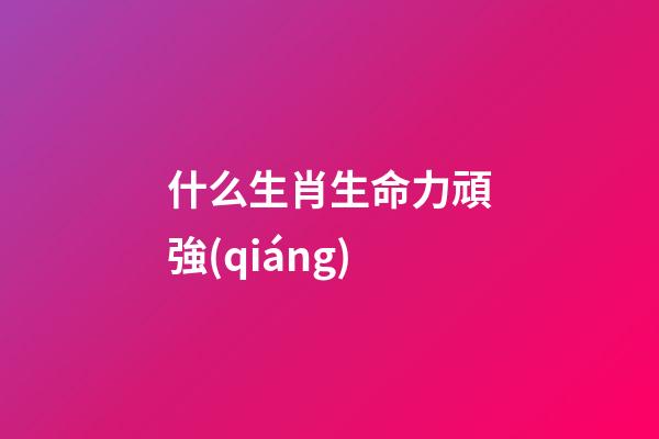 什么生肖生命力頑強(qiáng)(生肖牛人的較為突出的性格特點(diǎn)有哪些？)-第1張-觀點(diǎn)-玄機(jī)派