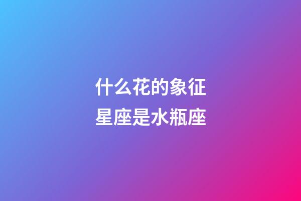 什么花的象征星座是水瓶座-第1張-星座運勢-玄機派