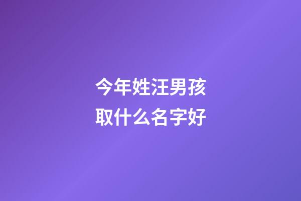 今年姓汪男孩取什么名字好(2023年姓汪男寶名)-第1張-男孩起名-玄機派
