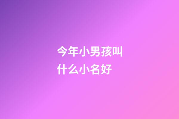 今年小男孩叫什么小名好(今年男孩小名叫什么好)-第1張-男孩起名-玄機派