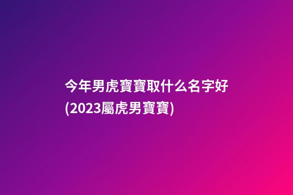 今年男虎寶寶取什么名字好(2023屬虎男寶寶)