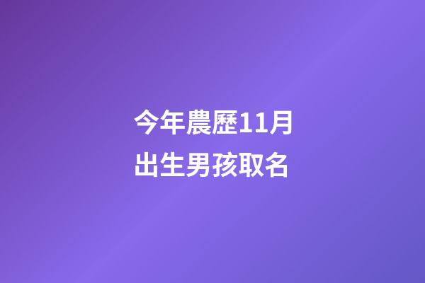 今年農歷11月出生男孩取名(今年農歷11月出生男孩取名大全)-第1張-男孩起名-玄機派