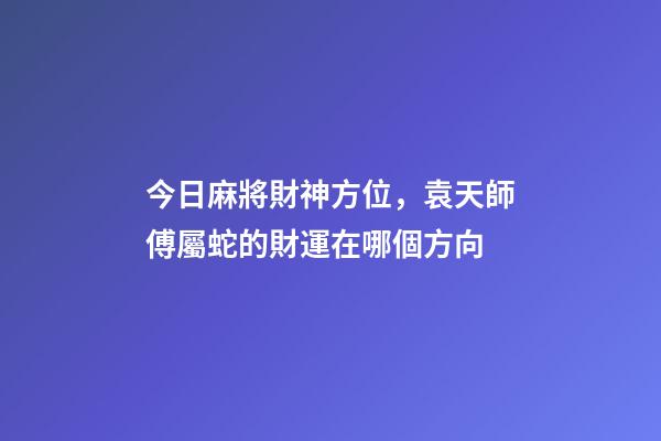 今日麻將財神方位，袁天師傅屬蛇的財運在哪個方向-第1張-觀點-玄機派