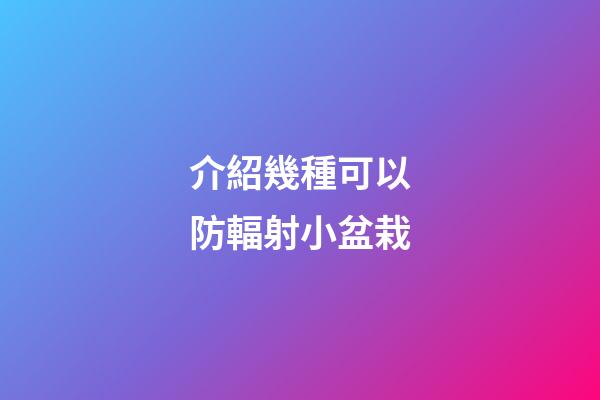 介紹幾種可以防輻射小盆栽