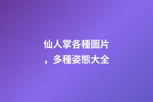 仙人掌各種圖片，多種姿態大全-第1張-觀點-玄機派