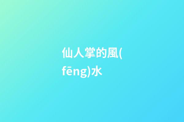 仙人掌的風(fēng)水