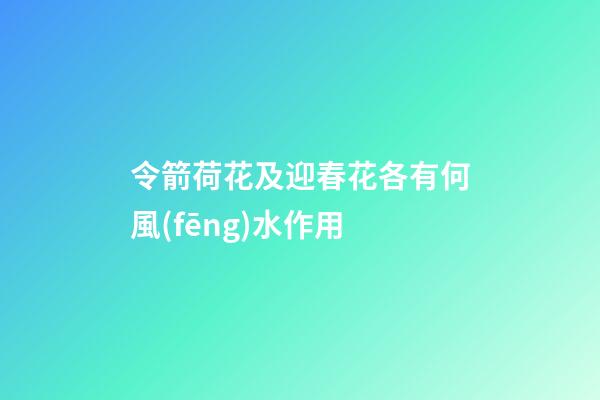令箭荷花及迎春花各有何風(fēng)水作用?
