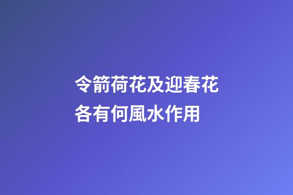 令箭荷花及迎春花各有何風水作用?