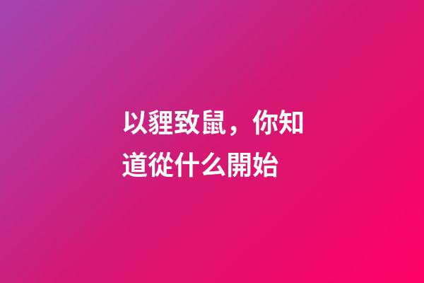 以貍致鼠，你知道從什么開始-第1張-觀點(diǎn)-玄機(jī)派