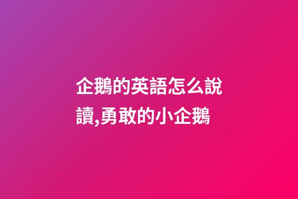 企鵝的英語怎么說讀,勇敢的小企鵝-第1張-觀點-玄機派