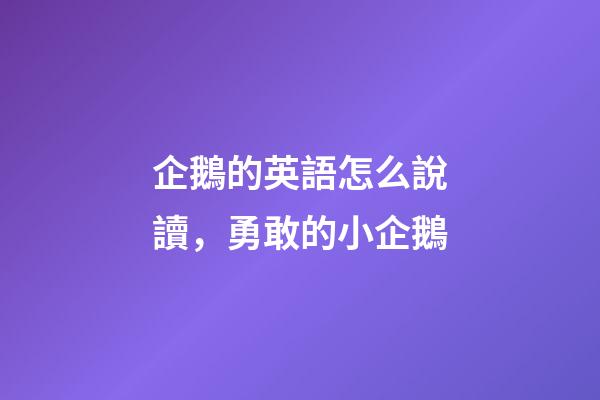 企鵝的英語怎么說讀，勇敢的小企鵝-第1張-觀點-玄機派