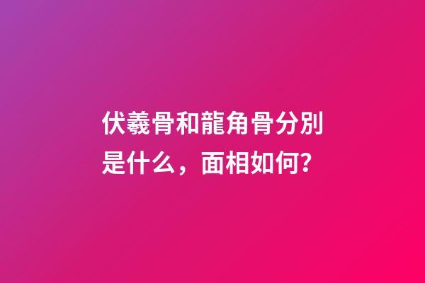 伏羲骨和龍角骨分別是什么，面相如何？