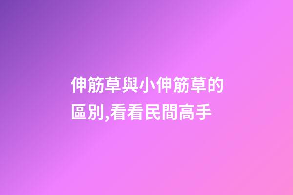 伸筋草與小伸筋草的區別,看看民間高手-第1張-觀點-玄機派