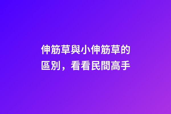 伸筋草與小伸筋草的區別，看看民間高手-第1張-觀點-玄機派