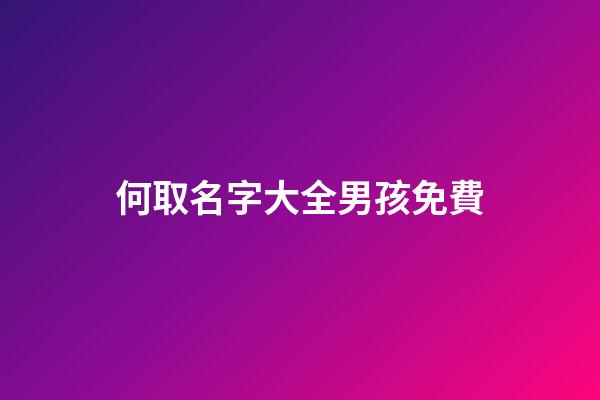 何取名字大全男孩免費(何取名字的含義是什么)-第1張-男孩起名-玄機派