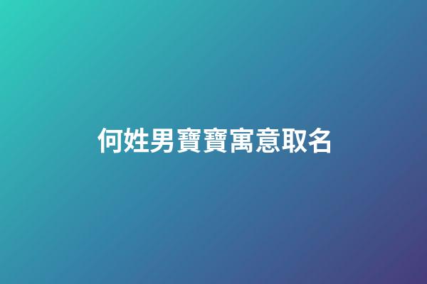 何姓男寶寶寓意取名(何姓男寶寶寓意取名洋氣)-第1張-男孩起名-玄機派