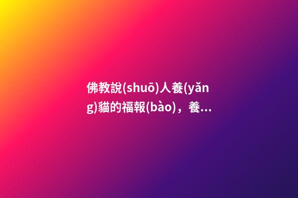 佛教說(shuō)人養(yǎng)貓的福報(bào)，養(yǎng)貓有哪些好處