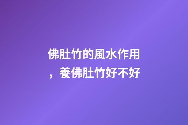 佛肚竹的風水作用，養佛肚竹好不好