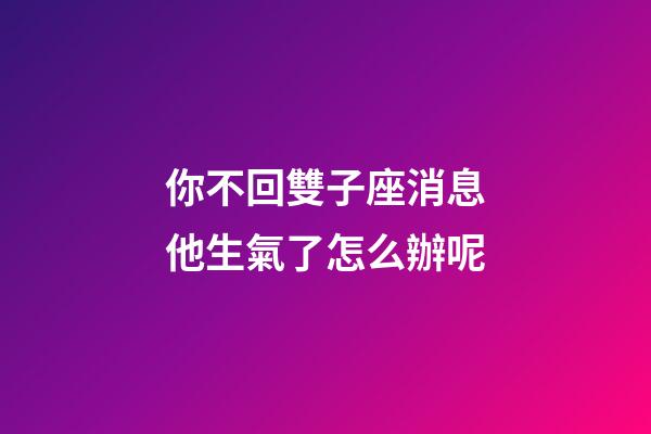 你不回雙子座消息他生氣了怎么辦呢-第1張-星座運勢-玄機派