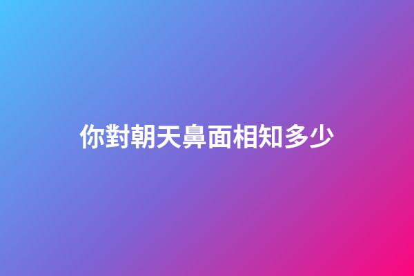 你對朝天鼻面相知多少