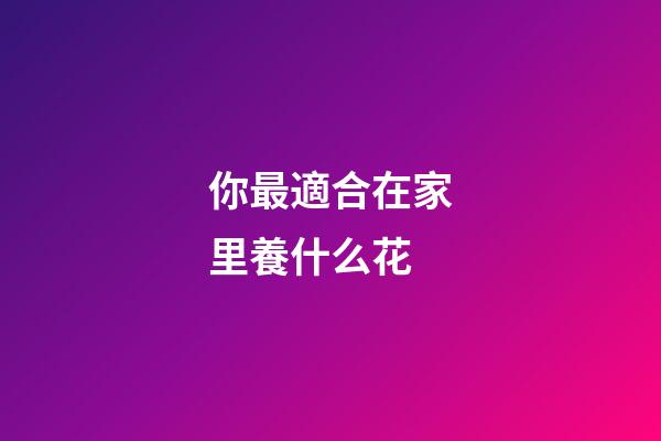 你最適合在家里養什么花