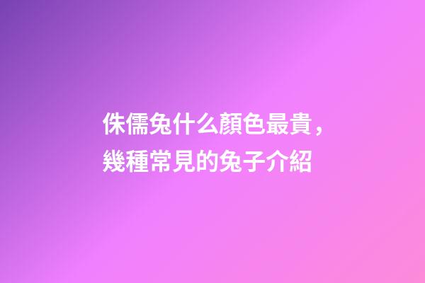 侏儒兔什么顏色最貴，幾種常見的兔子介紹-第1張-觀點(diǎn)-玄機(jī)派