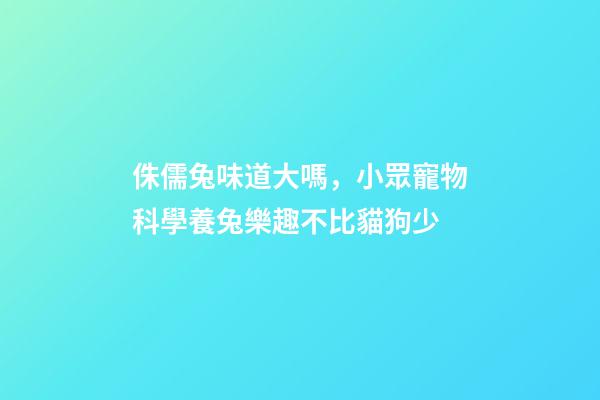 侏儒兔味道大嗎，小眾寵物科學養兔樂趣不比貓狗少-第1張-觀點-玄機派