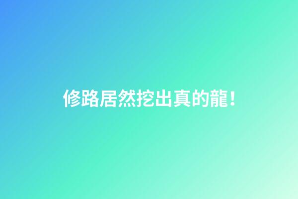 修路居然挖出真的龍！