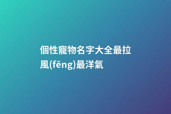 個性寵物名字大全最拉風(fēng)最洋氣