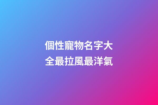 個性寵物名字大全最拉風最洋氣