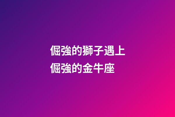 倔強的獅子遇上倔強的金牛座-第1張-星座運勢-玄機派
