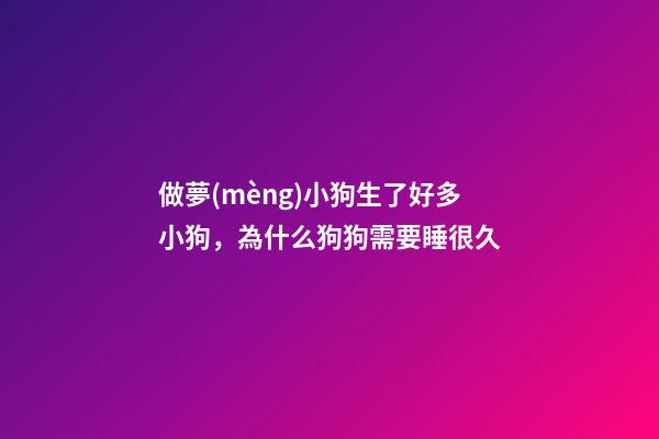 做夢(mèng)小狗生了好多小狗，為什么狗狗需要睡很久-第1張-觀點(diǎn)-玄機(jī)派