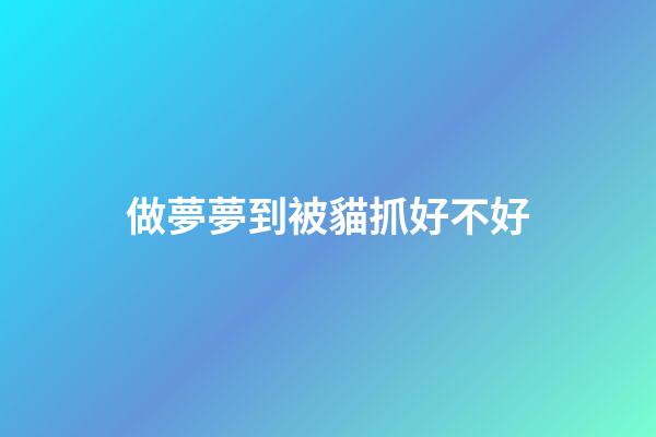 做夢夢到被貓抓好不好