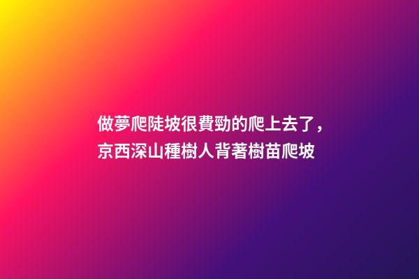 做夢爬陡坡很費勁的爬上去了，京西深山種樹人背著樹苗爬坡-第1張-觀點-玄機派