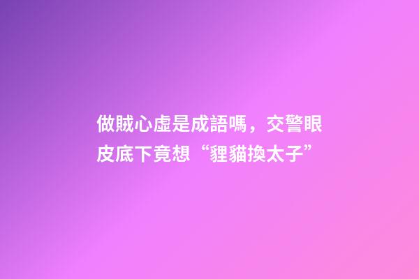 做賊心虛是成語嗎，交警眼皮底下竟想“貍貓換太子”-第1張-觀點(diǎn)-玄機(jī)派