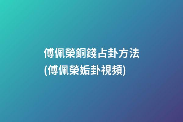 傅佩榮銅錢占卦方法(傅佩榮姤卦視頻)