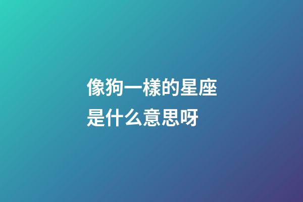 像狗一樣的星座是什么意思呀-第1張-星座運勢-玄機派