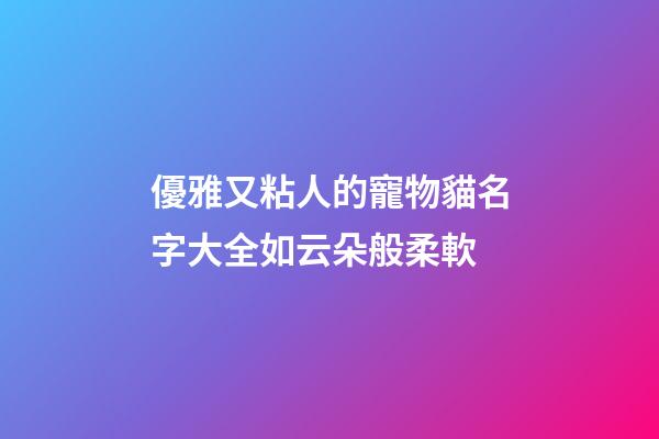 優雅又粘人的寵物貓名字大全如云朵般柔軟