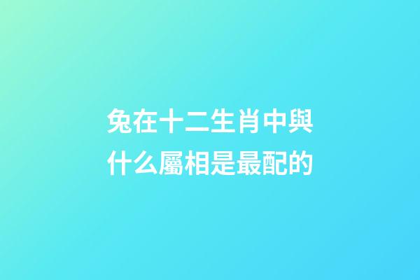 兔在十二生肖中與什么屬相是最配的