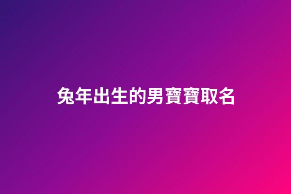 兔年出生的男寶寶取名(兔年出生的男寶寶取名草字頭怎么取)-第1張-男孩起名-玄機(jī)派