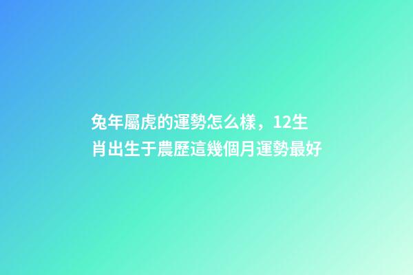 兔年屬虎的運勢怎么樣，12生肖出生于農歷這幾個月運勢最好(一)-第1張-觀點-玄機派